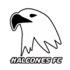 HALCONES-WEB
